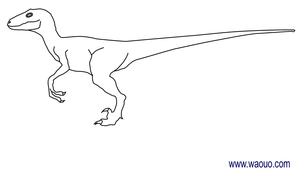 Coloriage Velociraptor